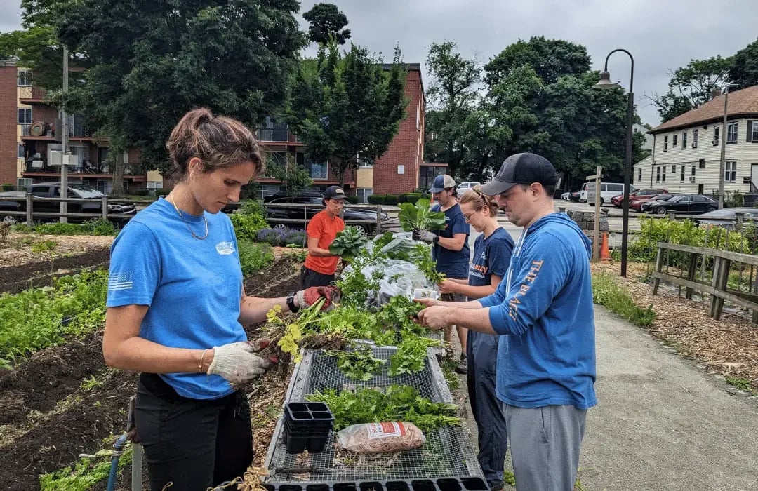 Volunteers working in a community garden