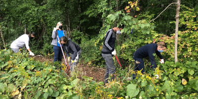Volunteers cleaning up an outdoor conservation area. 