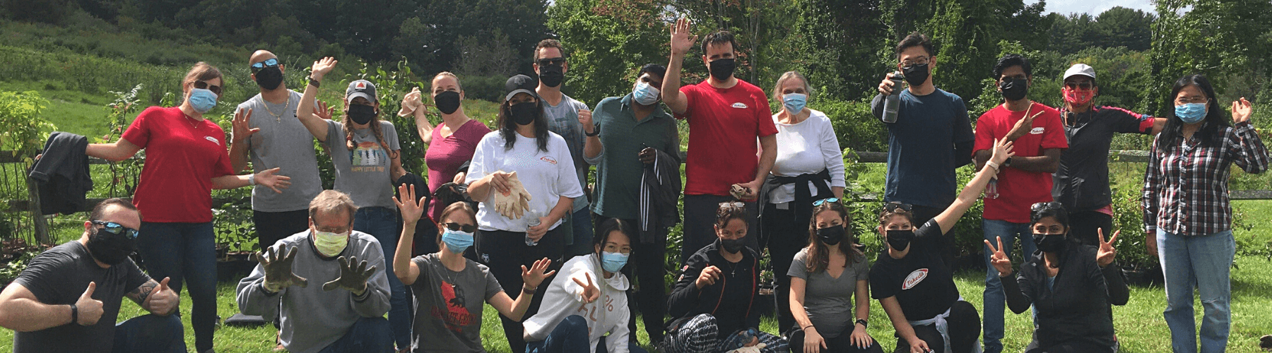 Image of volunteers at an outdoor environmental conservation project.