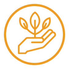 Growth and Impact Manager-1