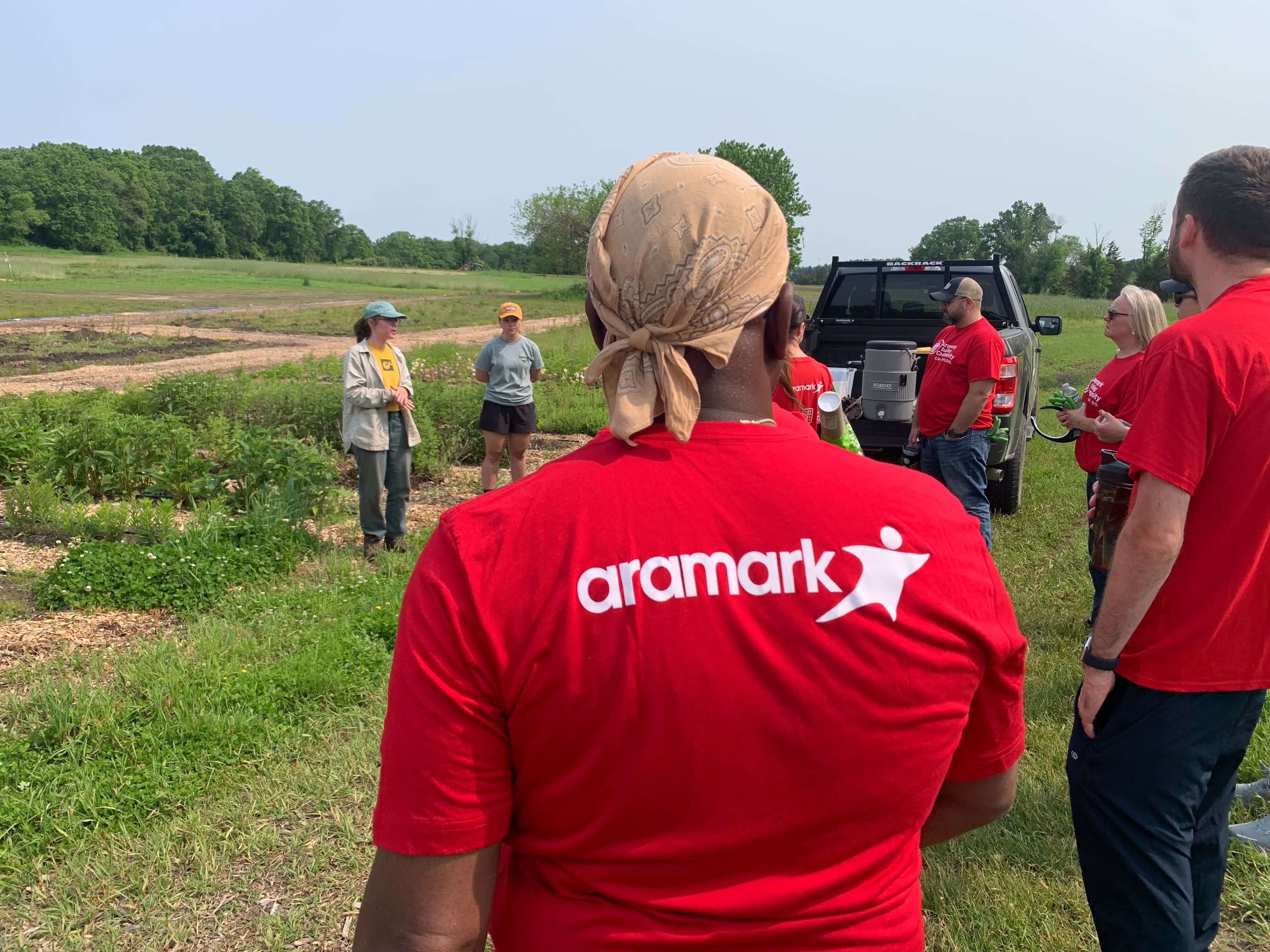 Volunteers working at a nonprofit site