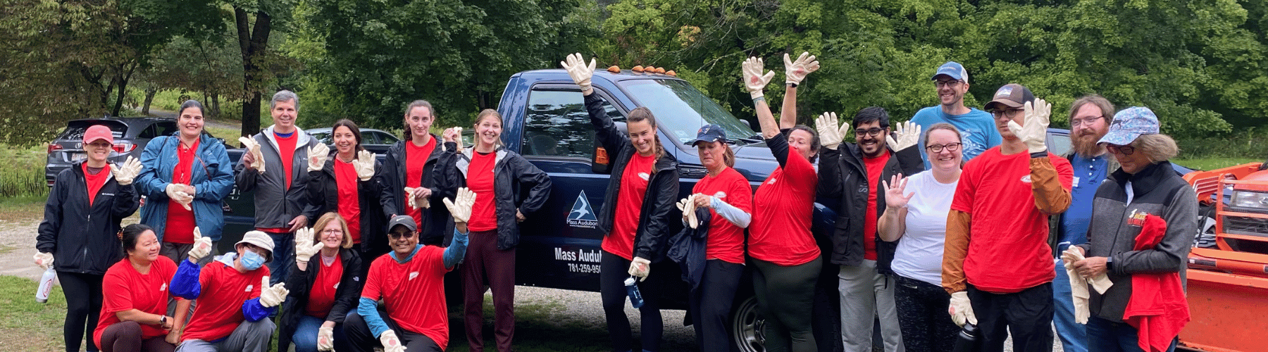 Corporate volunteers at an outdoor environmental conservation project.